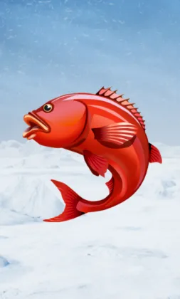 Ice Fishing Online Casino Spielautomat